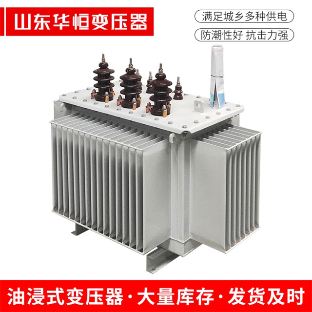 S13-10000/35犍为犍为犍为油浸式变压器厂家